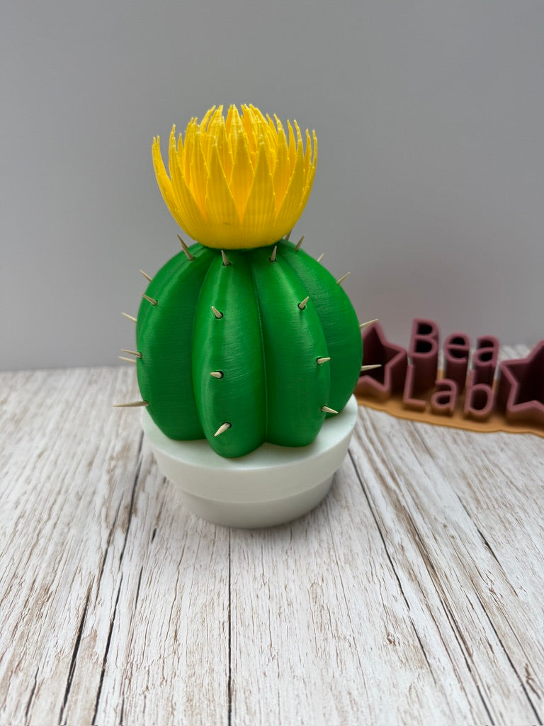 Cactus porta stuzzicadenti